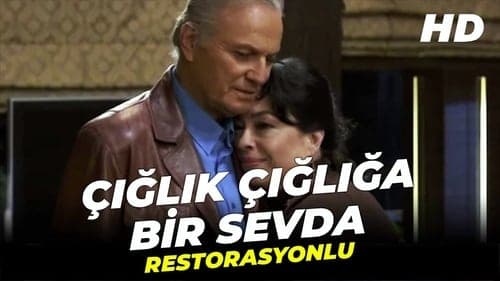 Çığlık Çığlığa Bir Sevda