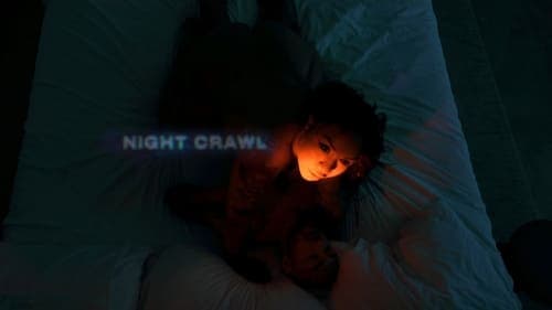 Night Crawl