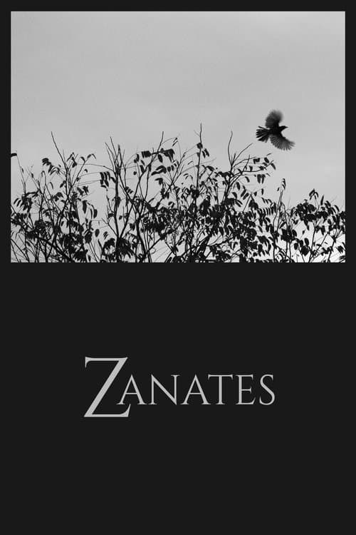 Zanates