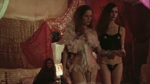 Un rêve plus long que la nuit