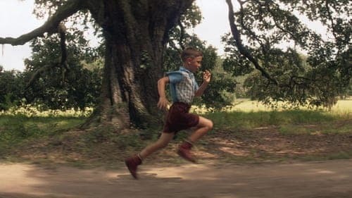 Cuộc Đời Forrest Gump