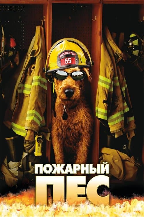 Firehouse Dog