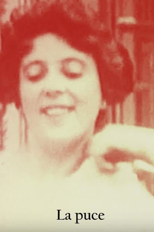 La puce