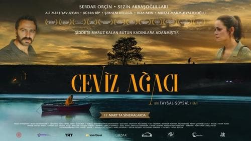 Ceviz Ağacı