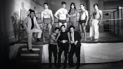 Casus Kıran