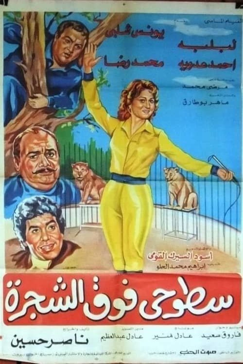 سطوحي فوق الشجرة