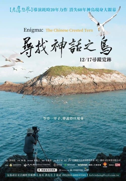 尋找神話之鳥