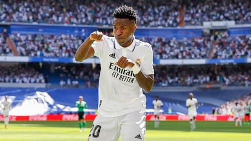 Baila, Vini