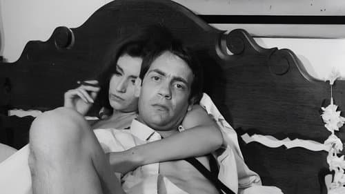 Todas as Mulheres do Mundo