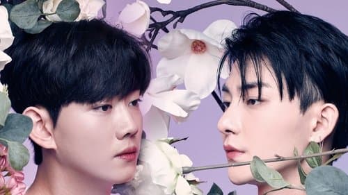 컬러러쉬