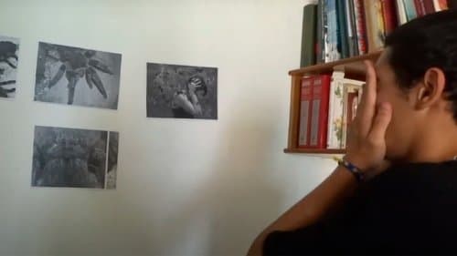 Obsesión Asesina