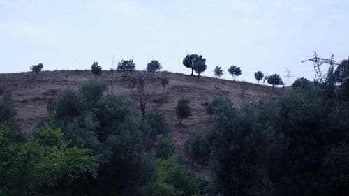 و کیارستمی ادامه دارد