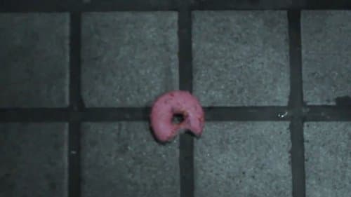 A Noble's Wheel