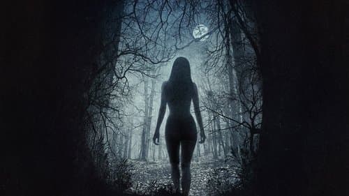 더 위치