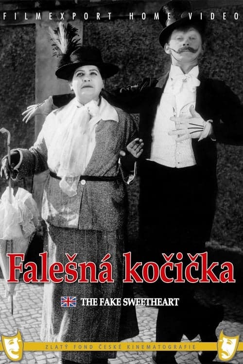 Falešná kočička