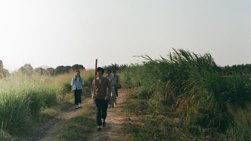 浮城之後