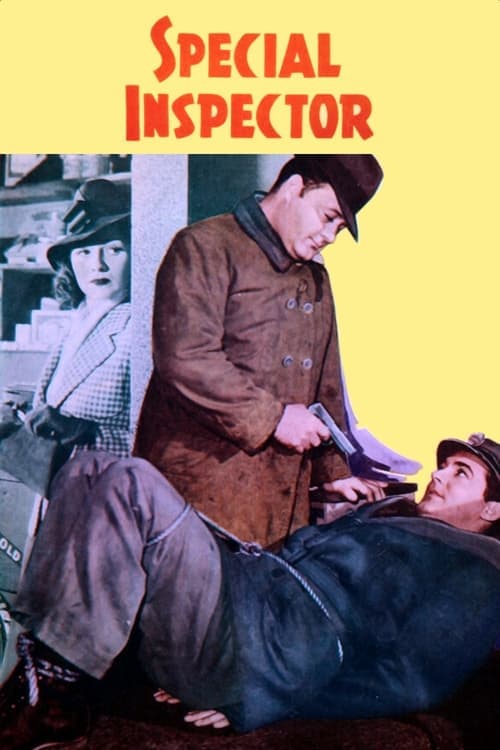 Special Inspector