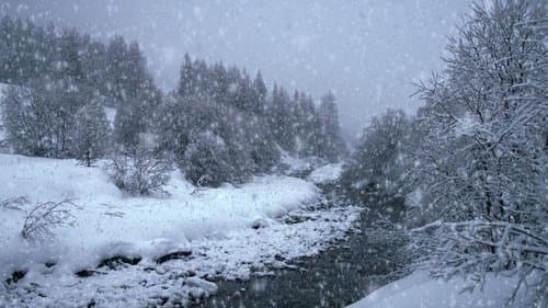 Neige