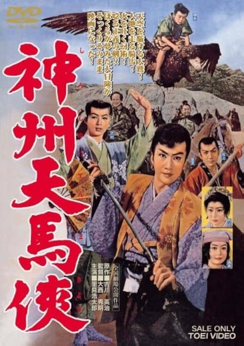 神州天馬侠