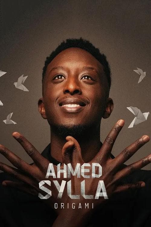 Ahmed Sylla : Origami