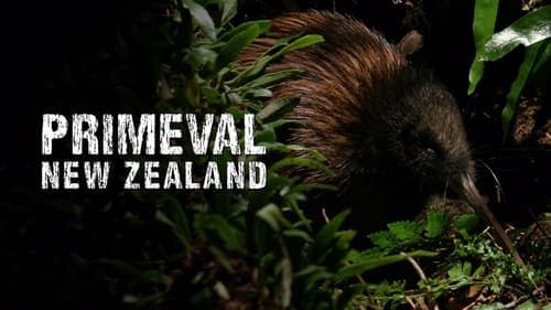 Primeval New Zealand