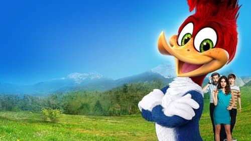 Chim Gõ Kiến Woody