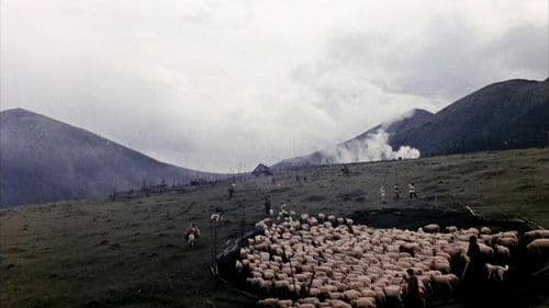 Bóng Tối Trong Ngôi Làng