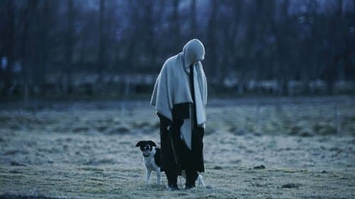 I Didn't Mean to Haunt You