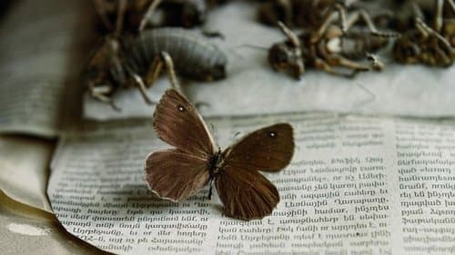 Searching for Satyrus
