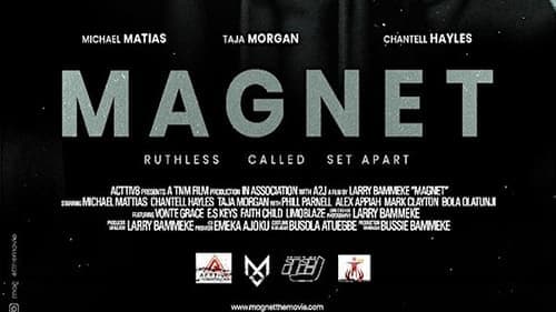 Magnet