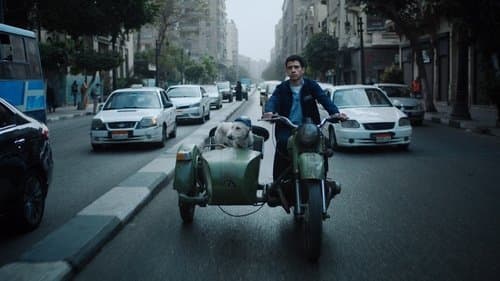 البحث عن منفذ لخروج السيد رامبو