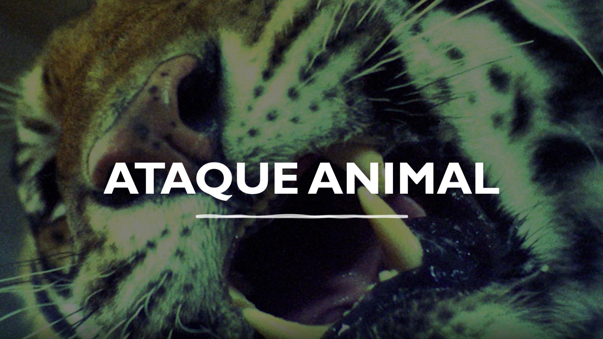 Ataque Animal