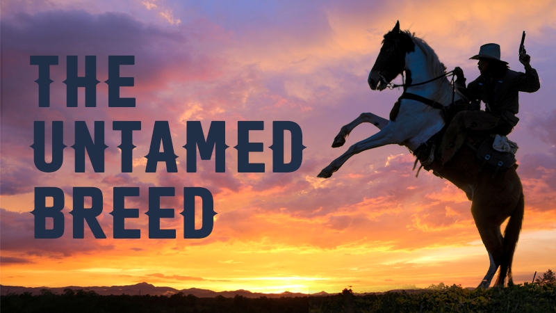 The Untamed Breed