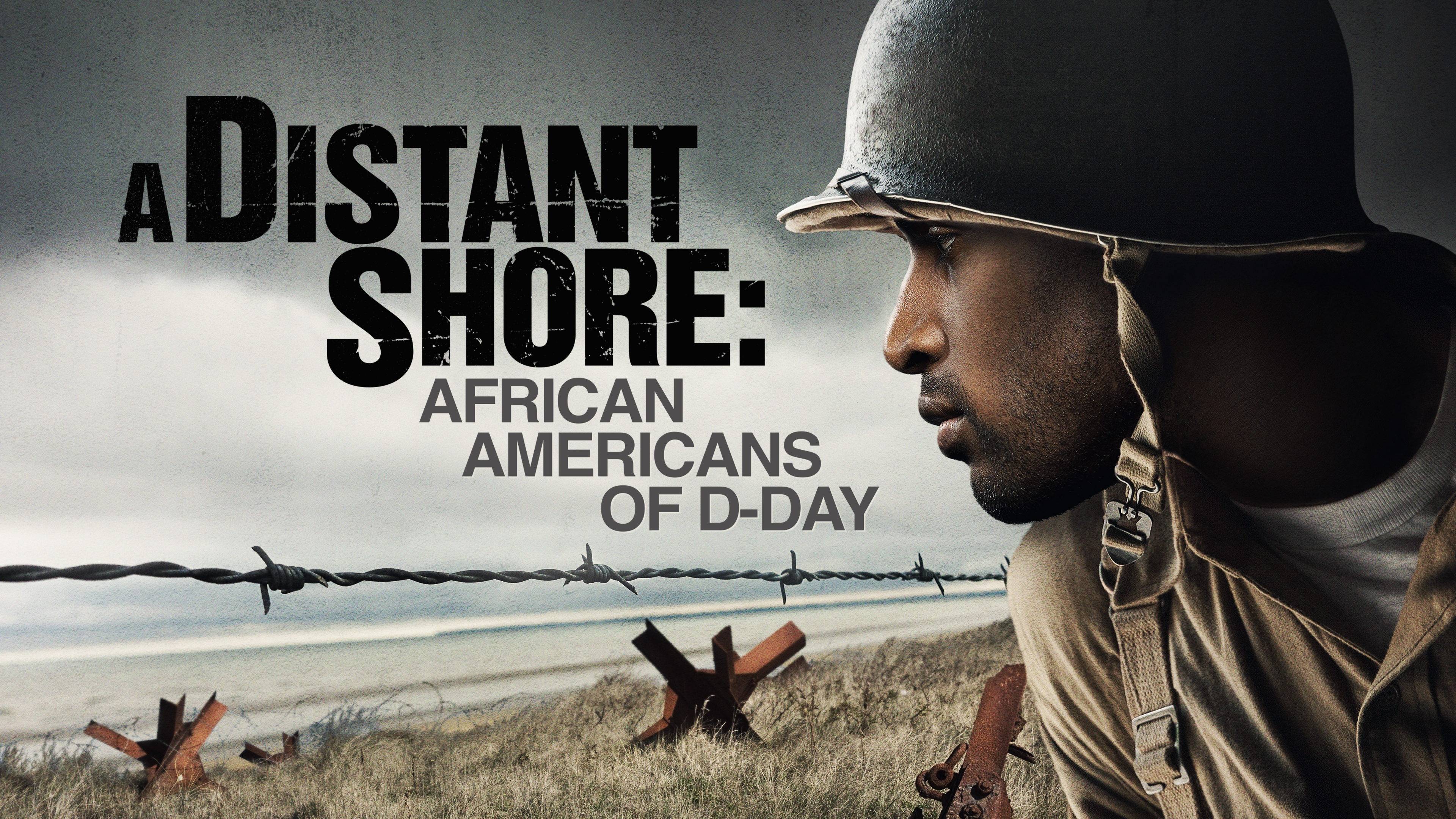 A Distant Shore: African Americans Of D-Day