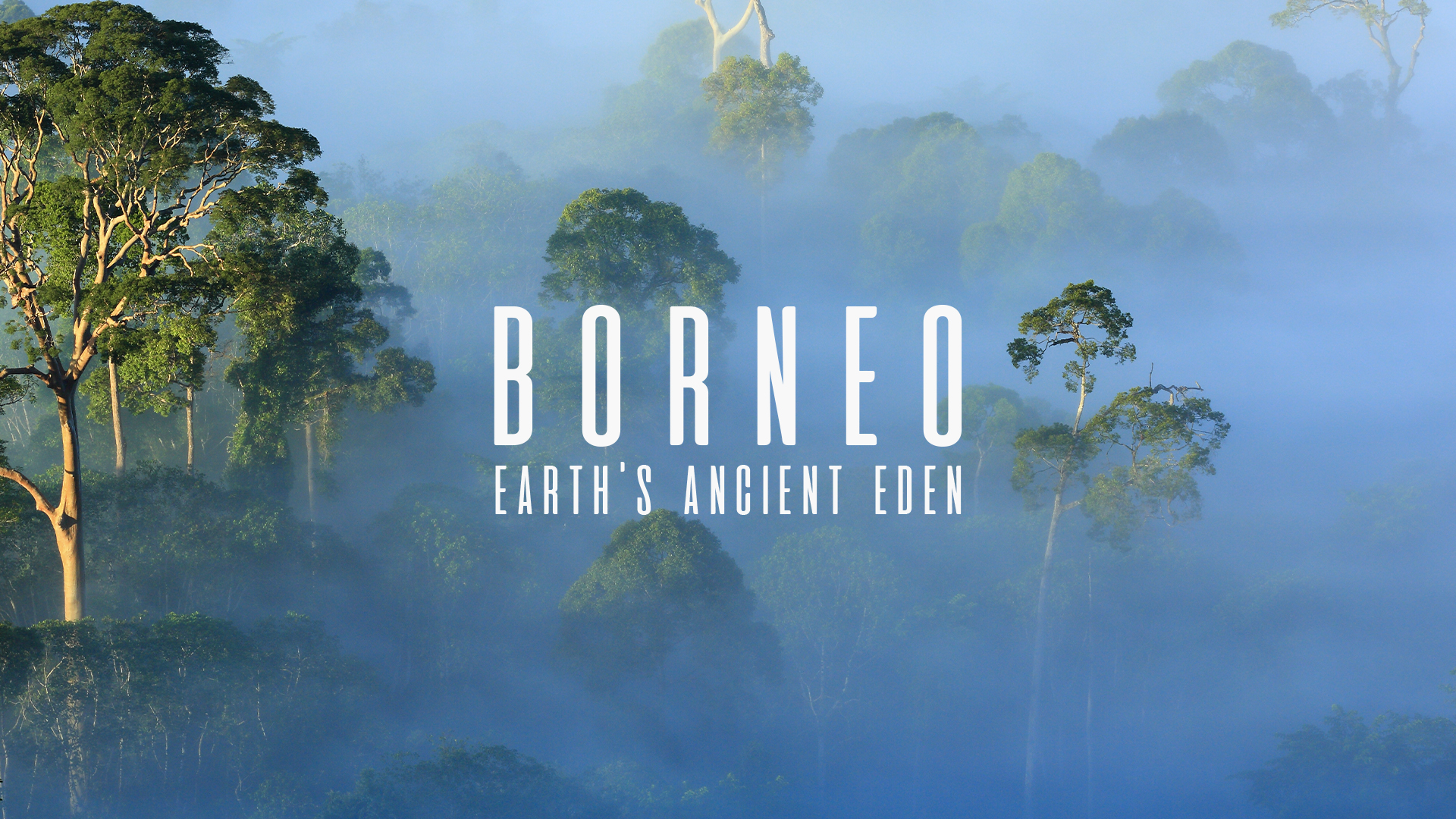 Borneo: Earth's Ancient Eden