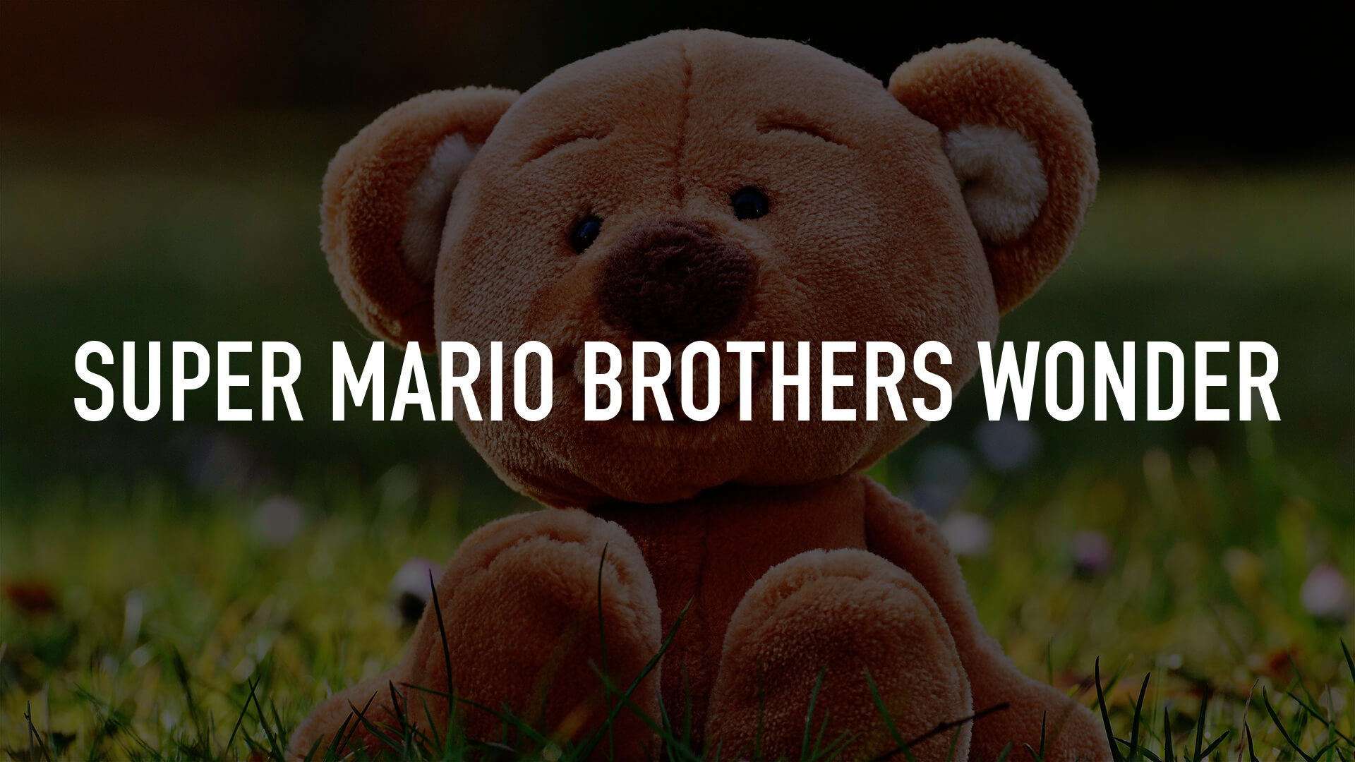 Super Mario Brothers Wonder
