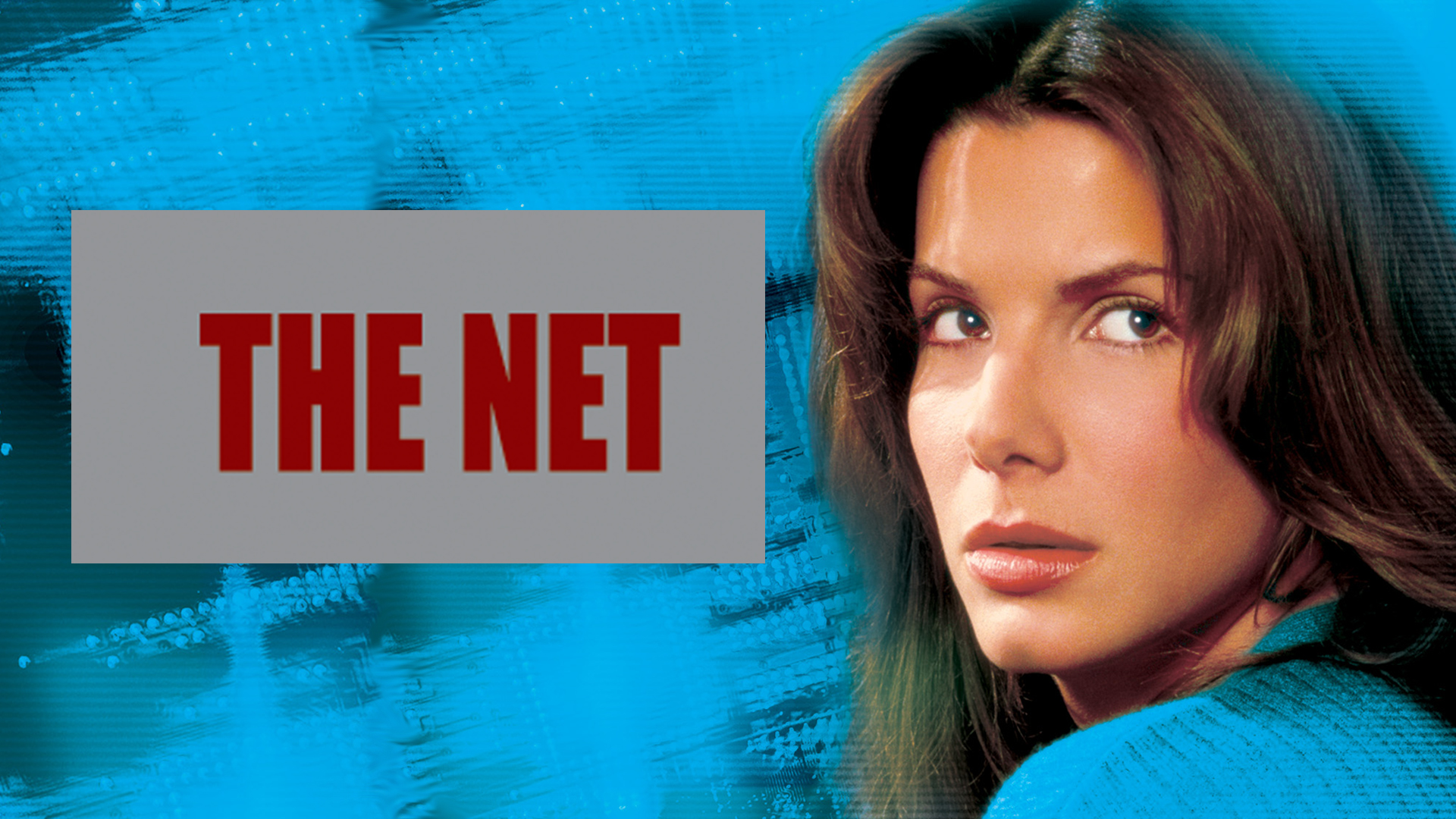 The Net (1995)
