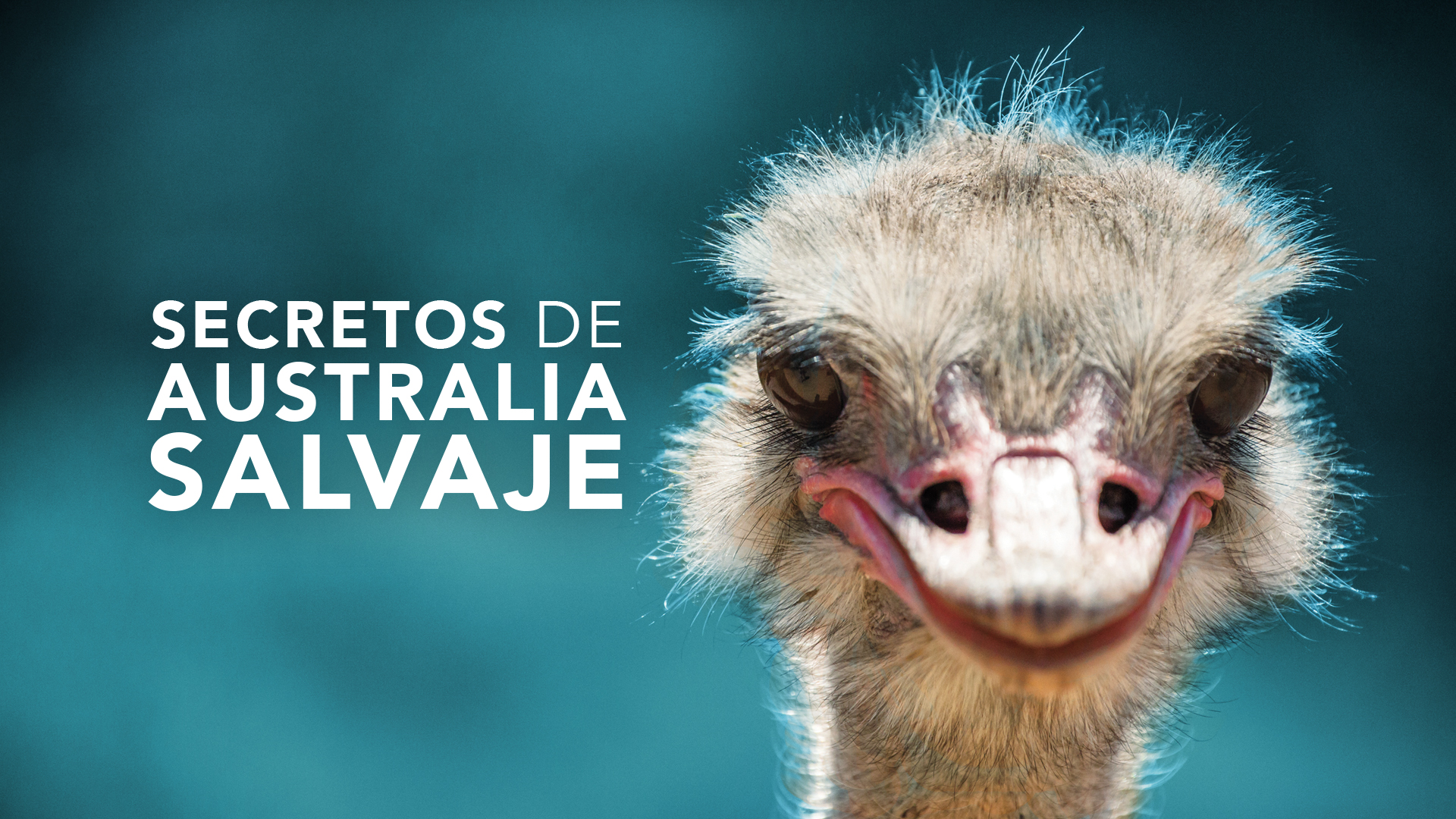 Secretos de Australia Salvaje