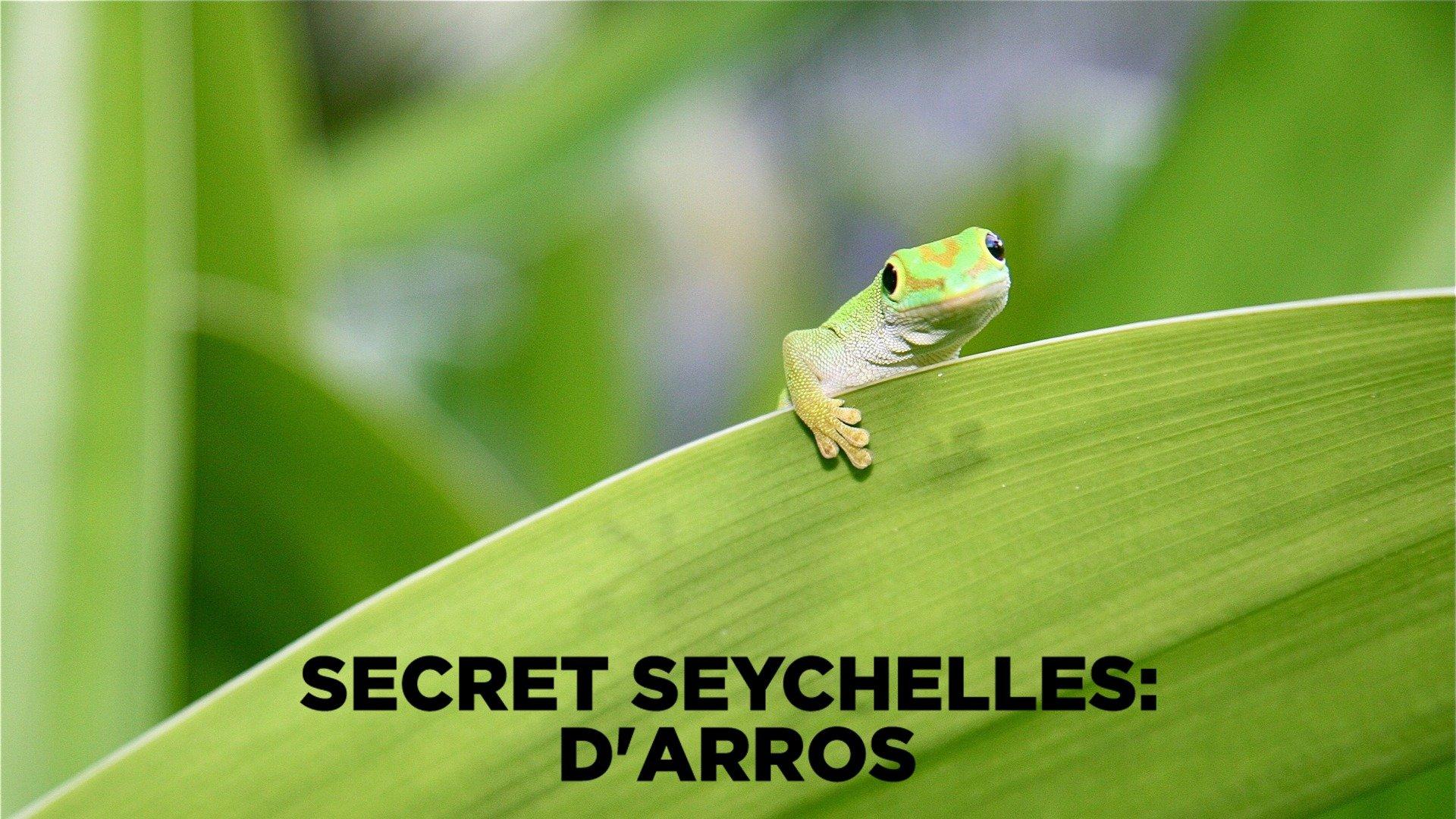 Secret Seychelles: D'Arros