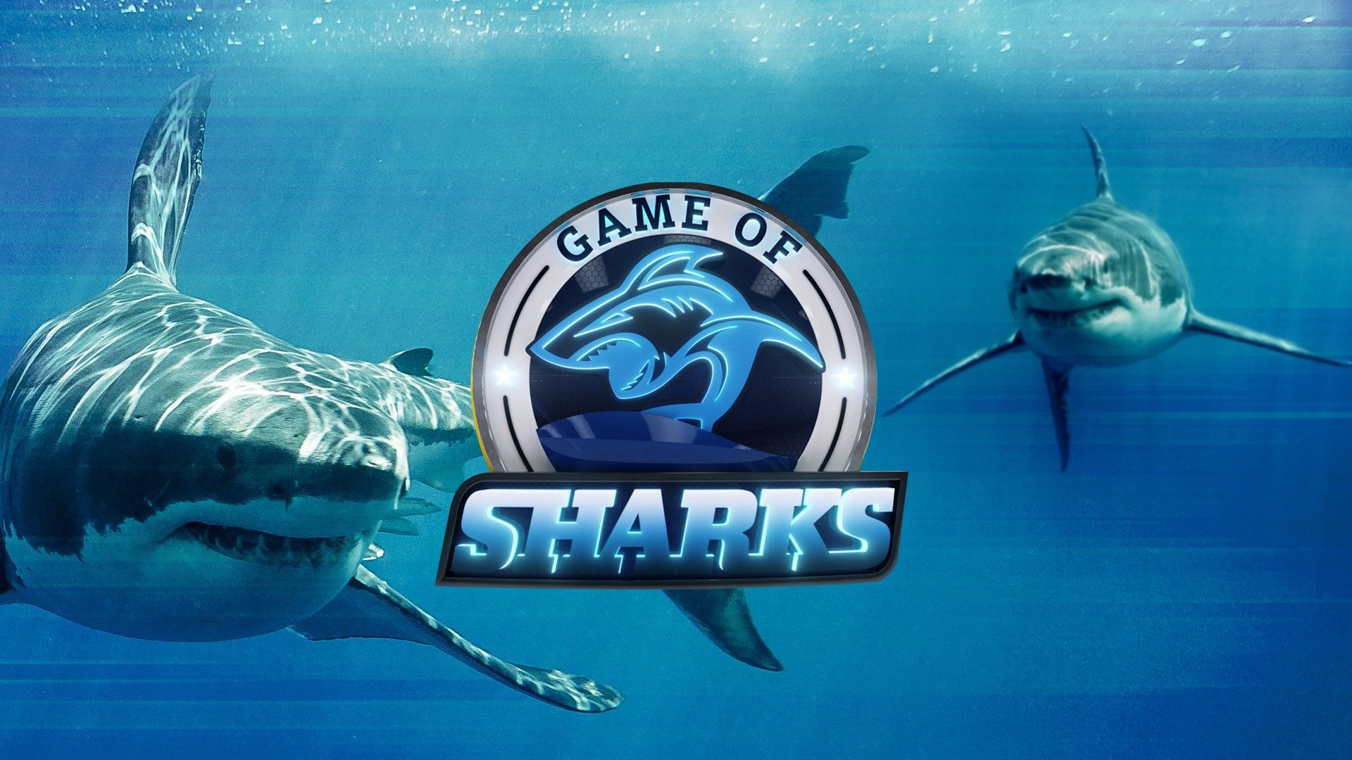 Game of Sharks