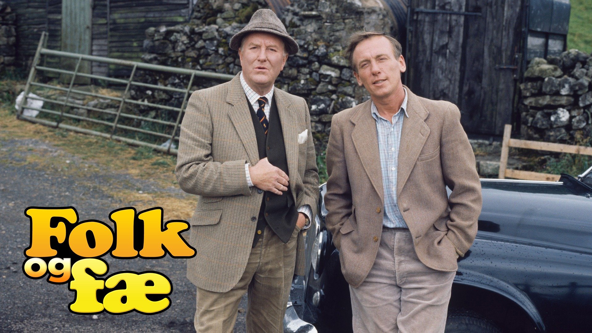 All Creatures Great & Small