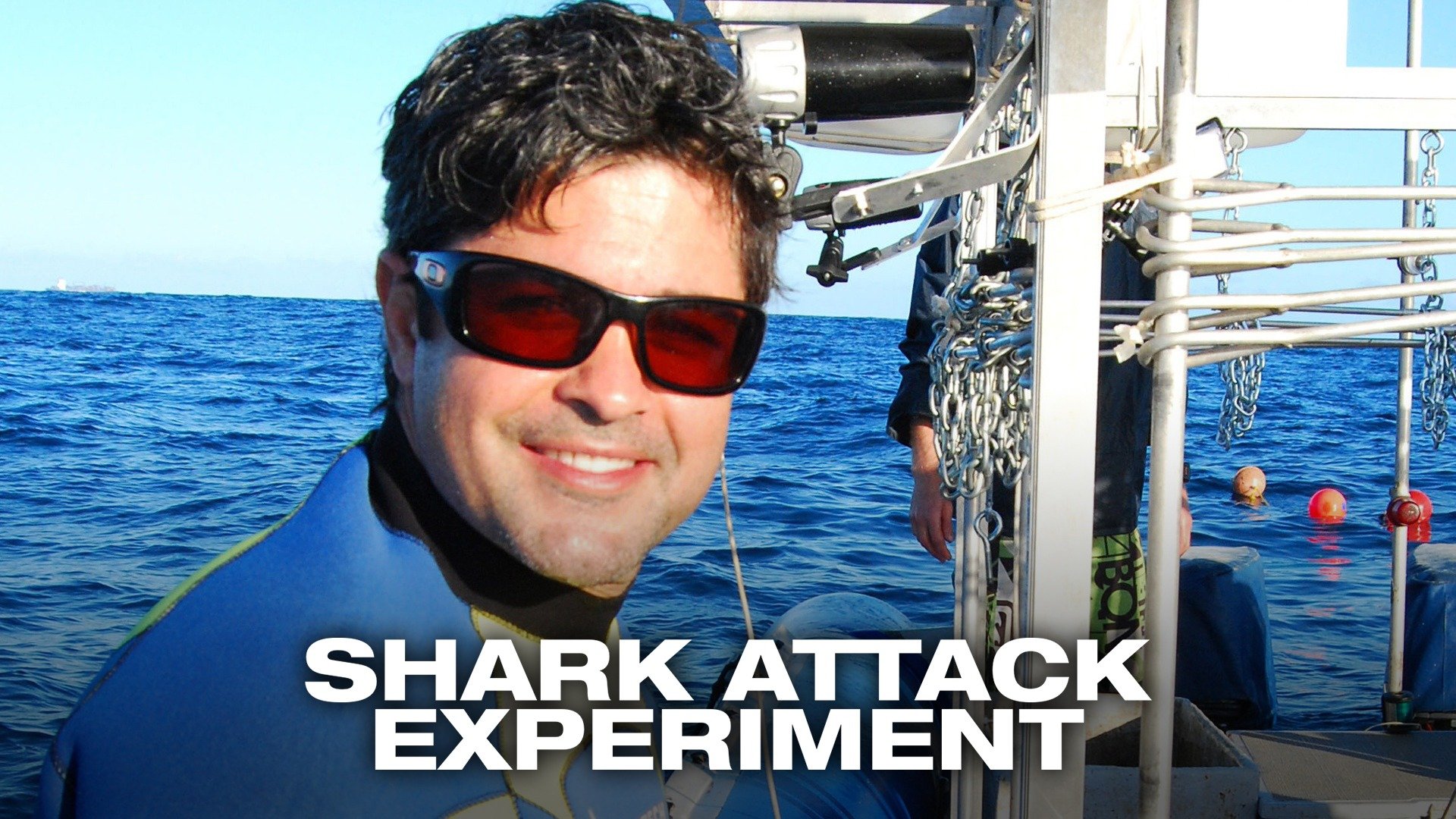 Shark Attack Experiment