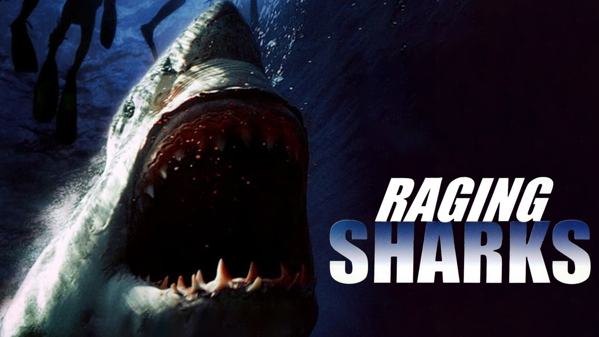 Raging Sharks