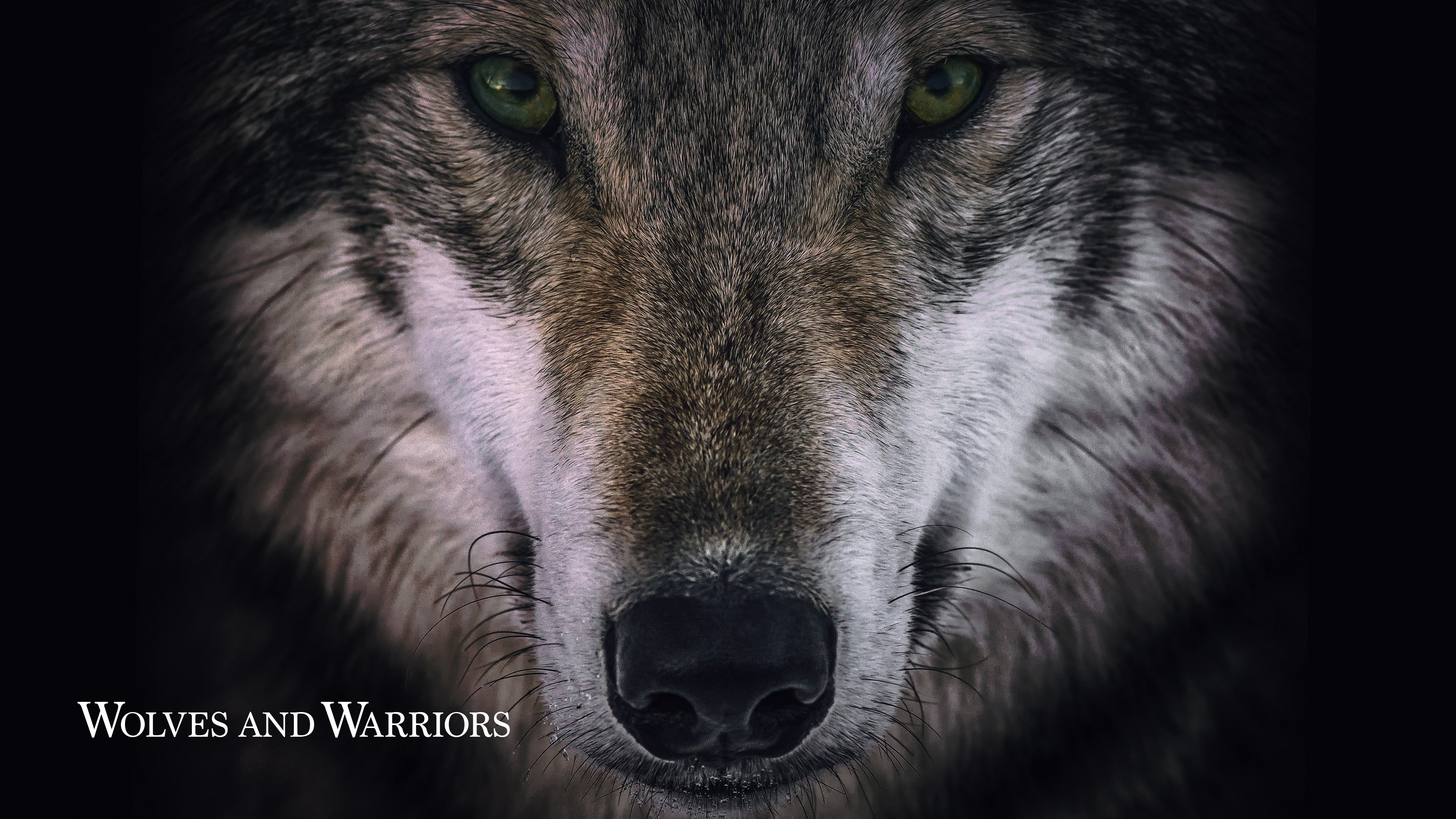 Wolves and Warriors