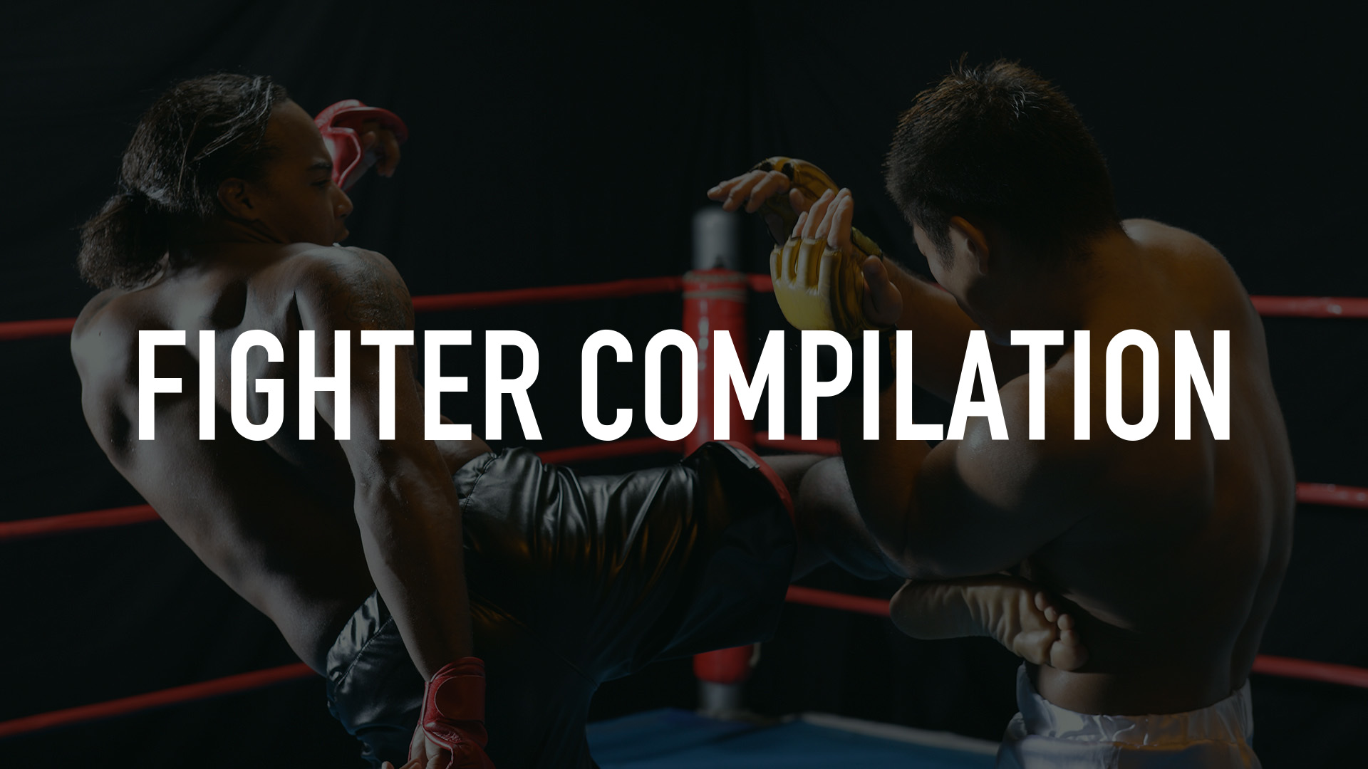 Fighter Compilation