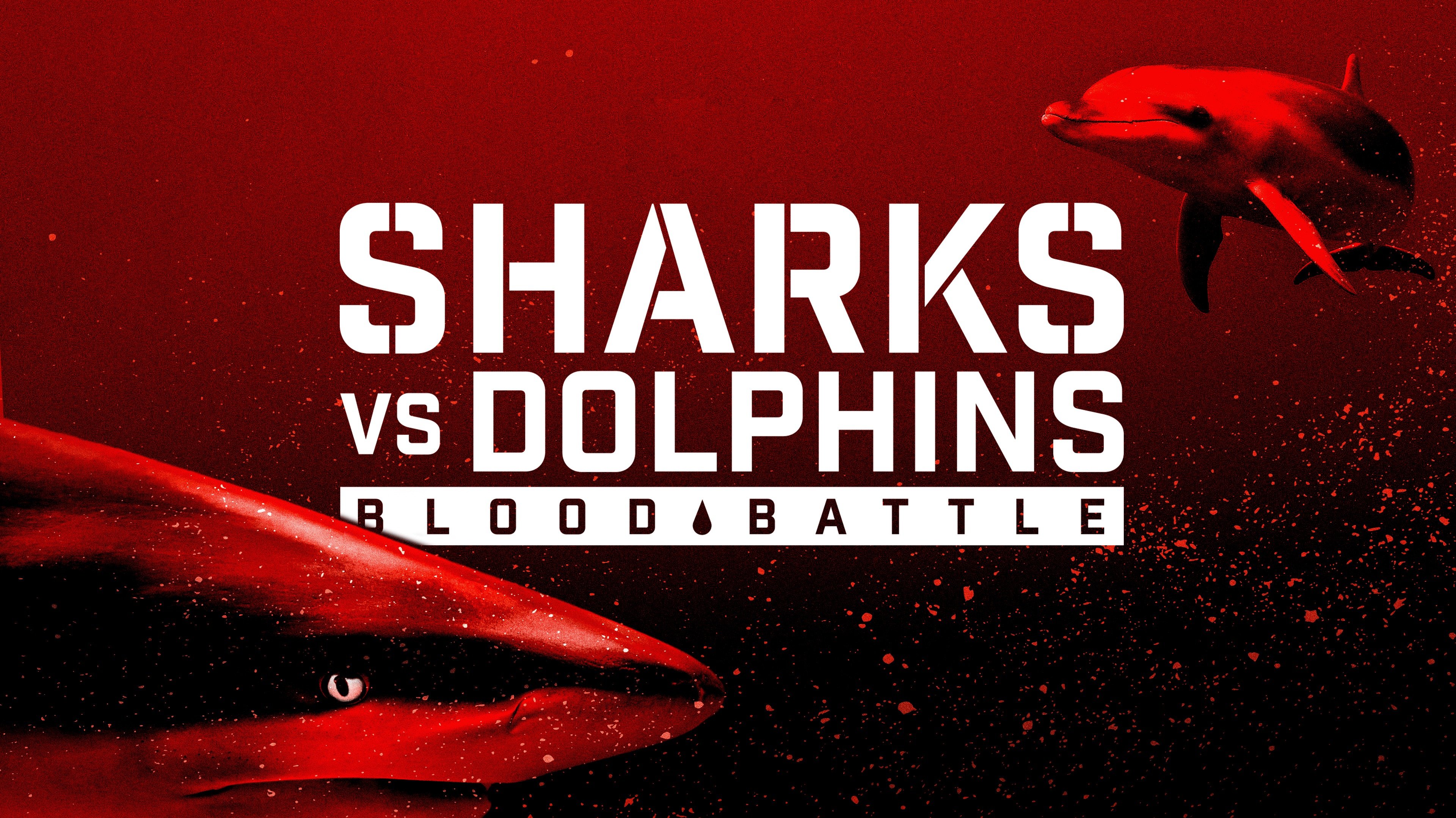 Sharks vs. Dolphins: Blood Battle