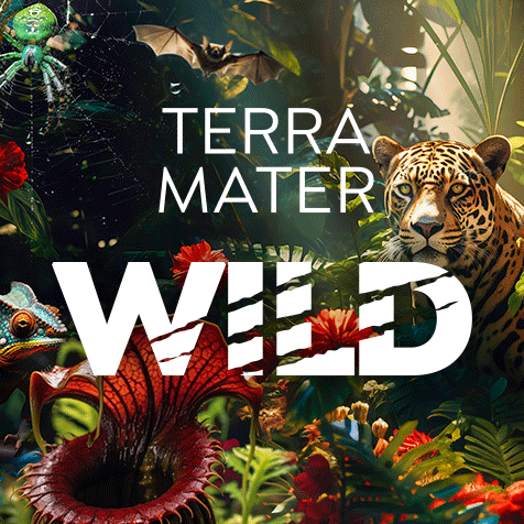 Terra Mater WILD