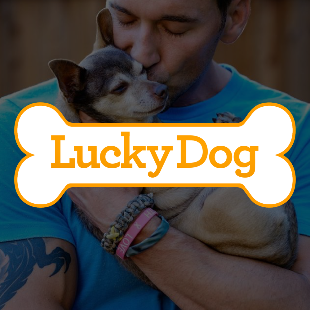 Lucky Dog