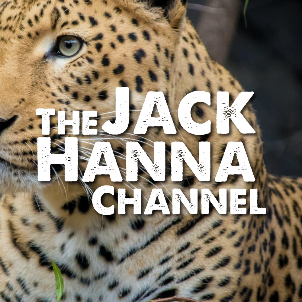 The Jack Hanna Channel