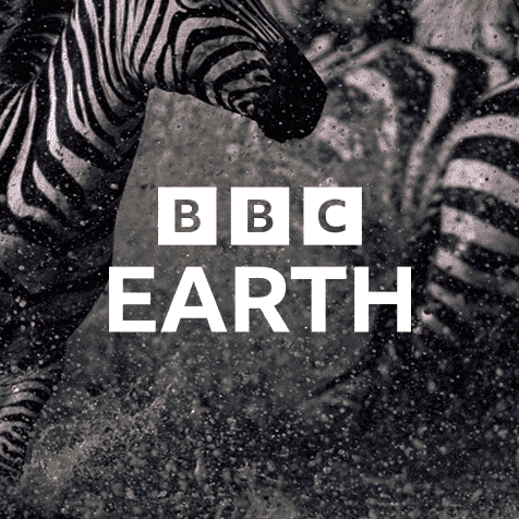 BBC Earth
